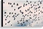 Canvas - Zwerm Vogels in Bewolkte Lucht - 60x40 cm Foto op Canvas Schilderij (Wanddecoratie op Canvas)