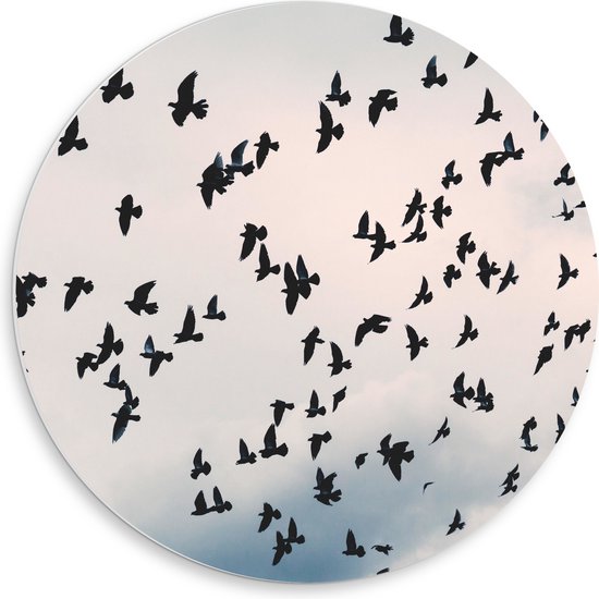 PVC Schuimplaat Muurcirkel - Zwerm Vogels in Bewolkte Lucht - 50x50 cm Foto op Muurcirkel (met ophangsysteem)