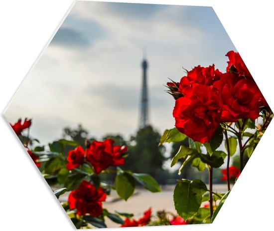 PVC Schuimplaat Hexagon - Rode Rozenstruik voor Eiffeltoren in Parijs, Frankrijk - 60x52.2 cm Foto op Hexagon (Met Ophangsysteem)