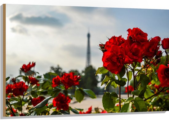 Hout - Rode Rozenstruik voor Eiffeltoren in Parijs, Frankrijk - 120x80 cm - 9 mm dik - Foto op Hout (Met Ophangsysteem)