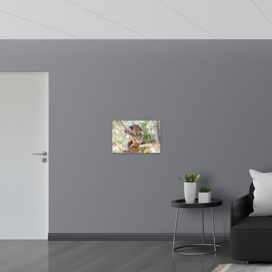 WallClassics - Poster Glossy - Koala Mignon sur une Branche - 60x40 cm Photo sur Papier Poster avec Finition Brillante