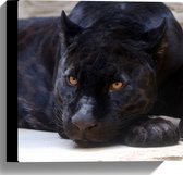 WallClassics - Canvas - Liggende Zwarte Panter met Oranje Ogen - 30x30 cm Foto op Canvas Schilderij (Wanddecoratie op Canvas)