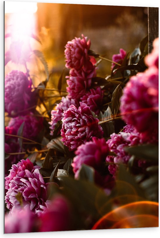 Dibond - Felle Roze bloemen met Planten - 80x120 cm Foto op Aluminium (Wanddecoratie van metaal)