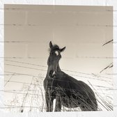 WallClassics - Muursticker - Neerkijkend Paard (Zwart- wit) - 50x50 cm Foto op Muursticker