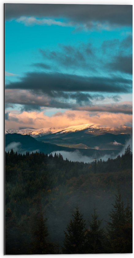 Dibond - Bos aan de Rand van Berglandschap onder Sluierbewolking - 50x100 cm Foto op Aluminium (Met Ophangsysteem)