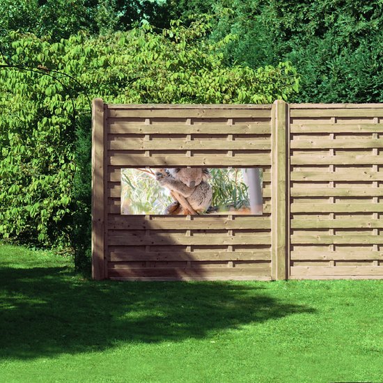 WallClassics - Affiche de jardin – Koala sur une branche – Photo 150 x 50 cm sur affiche de jardin (décoration murale pour l'extérieur et l'intérieur)