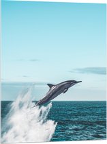 WallClassics - Acrylglas - Omhoogspringende Dolfijn in de Zee - 75x100 cm Foto op Acrylglas (Met Ophangsysteem)