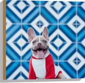 WallClassics - Hout - Puppy met Trui bij een Blauwe Achtergrond - 50x50 cm - 9 mm dik - Foto op Hout (Met Ophangsysteem)