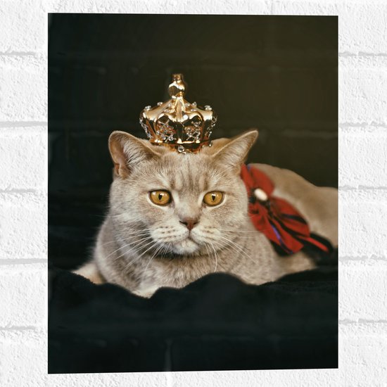 Muursticker - Kat als Koning met Kroontje - 30x40 cm Foto op Muursticker