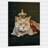 Muursticker - Kat als Koning met Kroontje - 50x75 cm Foto op Muursticker