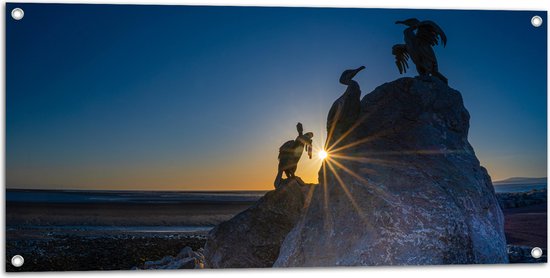 WallClassics - Tuinposter – Volgels op Rots bij Zonsondergang - 100x50 cm Foto op Tuinposter (wanddecoratie voor buiten en binnen)