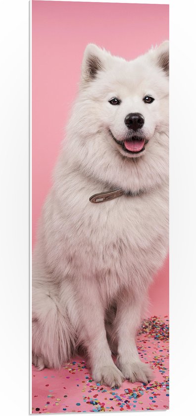 WallClassics - PVC Schuimplaat- Portret van Witte Hond tegen Roze Achtergrond met Confetti - 30x90 cm Foto op PVC Schuimplaat