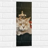 Muursticker - Kat als Koning met Kroontje - 20x60 cm Foto op Muursticker
