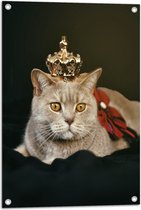 Tuinposter – Kat als Koning met Kroontje - 50x75 cm Foto op Tuinposter (wanddecoratie voor buiten en binnen)