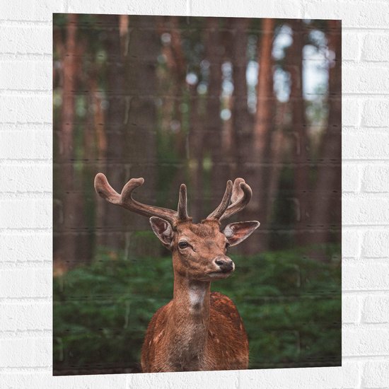 WallClassics - Muursticker - Opzijkijkend Hert in Groen Bos - 60x80 cm Foto op Muursticker