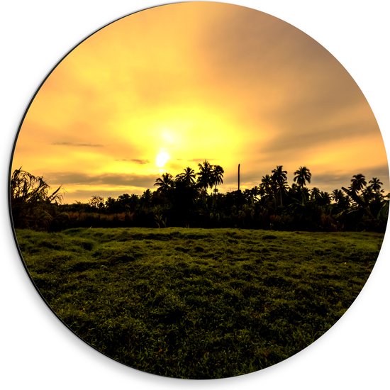 Dibond Muurcirkel - Grasveld voor Zon verdwijnend achter Palmbomen - 30x30 cm Foto op Aluminium Muurcirkel (met ophangsysteem)