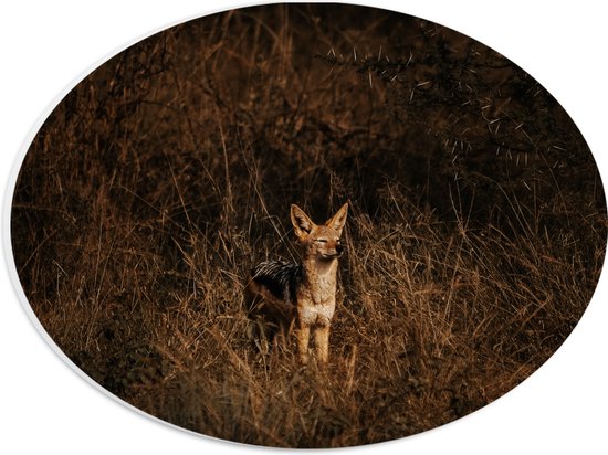 PVC Schuimplaat Ovaal - Goudwolf met Geknepen Ogen tussen Kale Struiken - 28x21 cm Foto op Ovaal (Met Ophangsysteem)