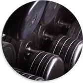 Dibond Muurcirkel - Foto van Rek Vol Dumbells in Sportschool - 30x30 cm Foto op Aluminium Muurcirkel (met ophangsysteem)