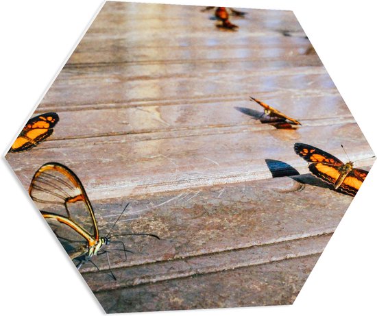 PVC Schuimplaat Hexagon - Groep Oranje Vlinders - 80x69.6 cm Foto op Hexagon (Met Ophangsysteem)