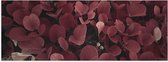 Poster Glanzend – Struik van Rode Bladeren - 60x20 cm Foto op Posterpapier met Glanzende Afwerking