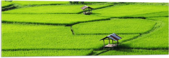 Acrylglas - Houten Hutjes in Grote Groene Rijstvelden in Vietnam - 120x40 cm Foto op Acrylglas (Wanddecoratie op Acrylaat)