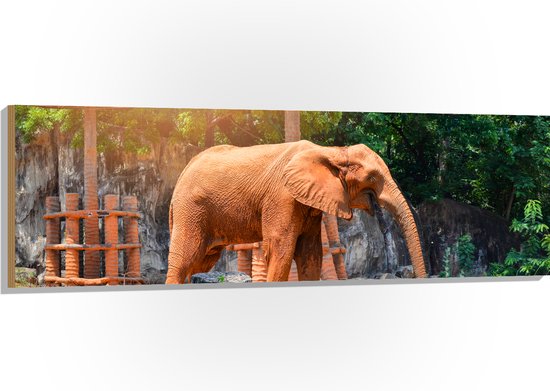 Hout Aziatische Lachende Olifant Tussen De Planten 150x50 Cm 9 Mm Dik Foto Op