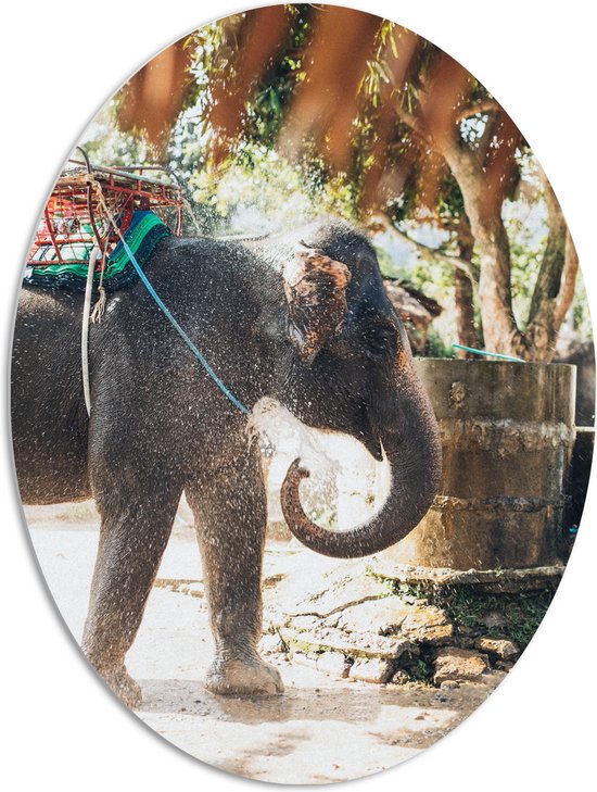 PVC Schuimplaat Ovaal - Olifant met Zitplek op Rug in Dorpje - 72x96 cm ...