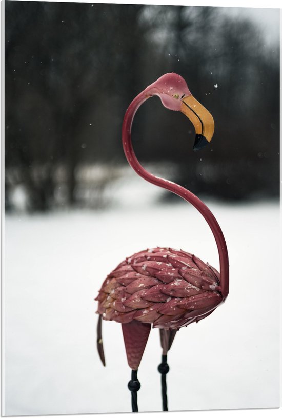 Acrylglas - Sierlijk Flamingo beeld in Winters Landschap - 60x90 cm Foto op Acrylglas (Met Ophangsysteem)