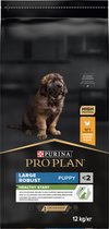 Pro Plan Healthy Start Puppy Large Robust - Hondenvoer Droog - Kip - 12 kg