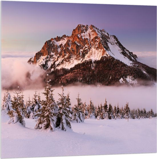Acrylglas - Bergtop boven Wolkendek Uitstekend - 100x100 cm Foto op Acrylglas (Met Ophangsysteem)
