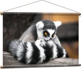 Textielposter - Ringstaart Maki Aap met Snuit in Staart op Balk - 90x60 cm Foto op Textiel