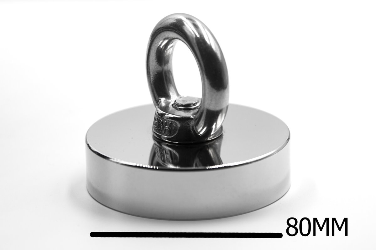 Magneetvis starter 300 kg.