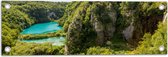 Tuinposter – Blauwe Wateren bij Planten in het Nationale Park Plitvicemeren, Kroatië - 60x20 cm Foto op Tuinposter (wanddecoratie voor buiten en binnen)