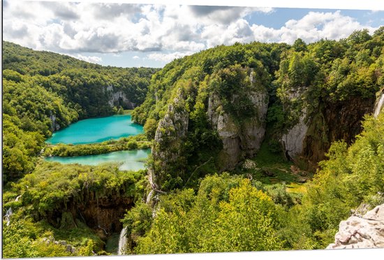 Dibond - Blauwe Wateren bij Planten in het Nationale Park Plitvicemeren, Kroatië - 120x80 cm Foto op Aluminium (Wanddecoratie van metaal)