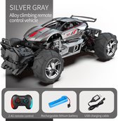 Fuegobird RC Auto - RC Voertuig - hoge snelheid speelgoedauto - grijs