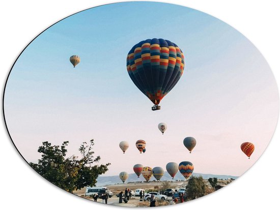 Dibond Ovaal - Veel Luchtballonnen in Licht Roze met Blauwe Lucht - 68x51 cm Foto op Ovaal (Met Ophangsysteem)