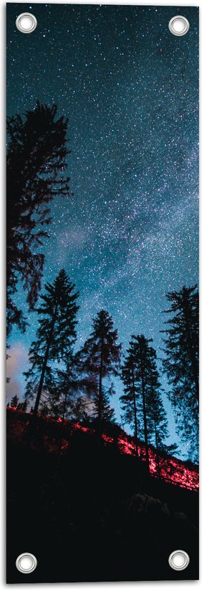 WallClassics - Tuinposter – Onderaanzicht van Hoge Donkere Bomen onder Heldere Sterrenhemel - 20x60 cm Foto op Tuinposter (wanddecoratie voor buiten en binnen)