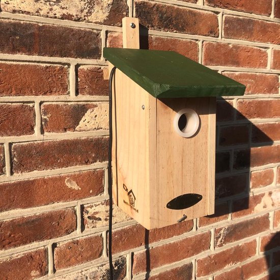 Ik Spioneer Mijn Vogelhuis - Raam Vogelhuisje Met Eenrichtingsspiegel Voor Observatie