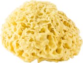 Natural SELF - Fine Detox Honeycomb Sea Sponge - Wellness - Natuurlijk - Spons - Zeespons - Bodycare