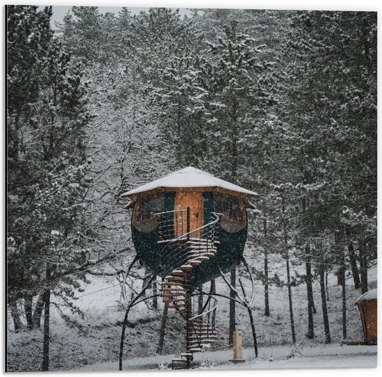 Dibond - Klein Huisje tussen de Bomen in de Sneeuw - 50x50 cm Foto op Aluminium (Met Ophangsysteem)