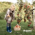Lachend meisje met blonde paardenstaart, draagt een geruite jas, grijze jeans en donkerblauwe rubberlaarzen, in een boomgaard met appels.