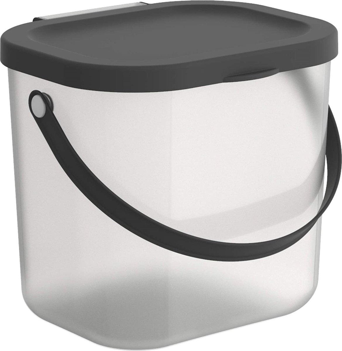 Rotho - Opbergcontainer met deksel - 6L - Opbergdoos met Handvat Gerecycled Plastic - BPA-Vrij - Transparant/Antraciet