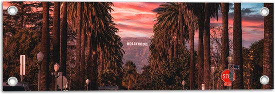 Tuinposter – Los Angeles Hollywood met Palmbomen - 60x20 cm Foto op Tuinposter (wanddecoratie voor buiten en binnen)