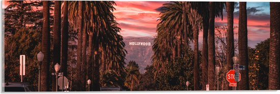 Acrylglas - Los Angeles Hollywood met Palmbomen - 60x20 cm Foto op Acrylglas (Wanddecoratie op Acrylaat)