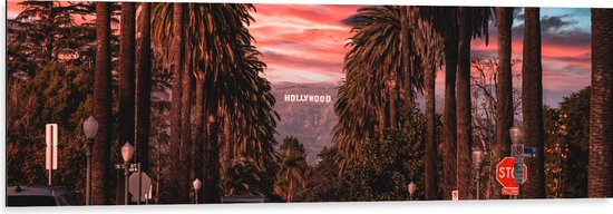 Dibond - Los Angeles Hollywood met Palmbomen - 120x40 cm Foto op Aluminium (Wanddecoratie van metaal)