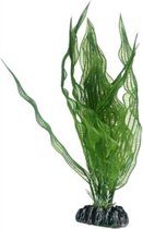 Aquarium kunstplant - 25 cm - Hobby Aponogeton