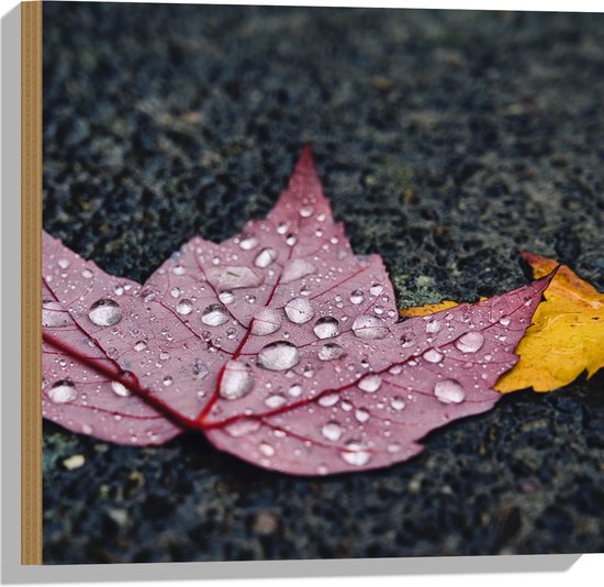 WallClassics - Hout - Grote Regendruppels op Rood Blad - 50x50 cm - 9 mm dik - Foto op Hout (Met Ophangsysteem)