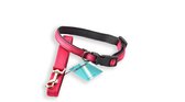 Honden Halsband met uitlaatriem -Roze - Hondentuig met reflector - Wandelen - Uitlaten - voor Meduim honden - Uitlaatriem 100 cm - Halsband 33 - 50 cm