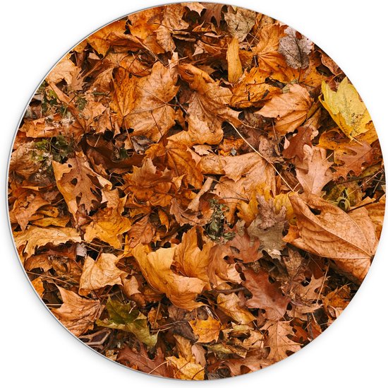 PVC Schuimplaat Muurcirkel - Herfst Bladeren - 70x70 cm Foto op Muurcirkel (met ophangsysteem)