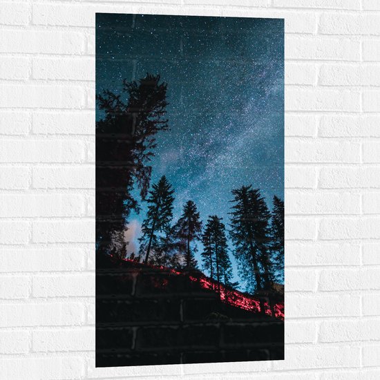WallClassics - Muursticker - Onderaanzicht van Hoge Donkere Bomen onder Heldere Sterrenhemel - 50x100 cm Foto op Muursticker